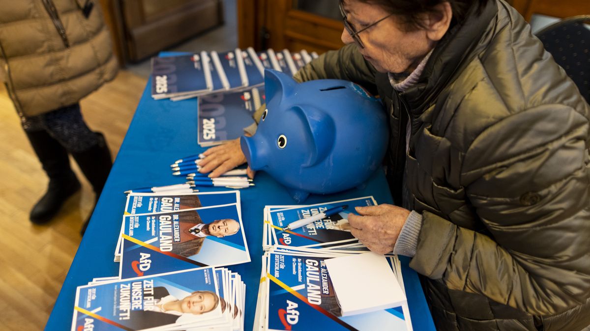 Německá kontrarozvědka označila AfD za pravicově extremistickou stranu Německá kontrarozvědka označila AfD za pravicově extremistickou stranu